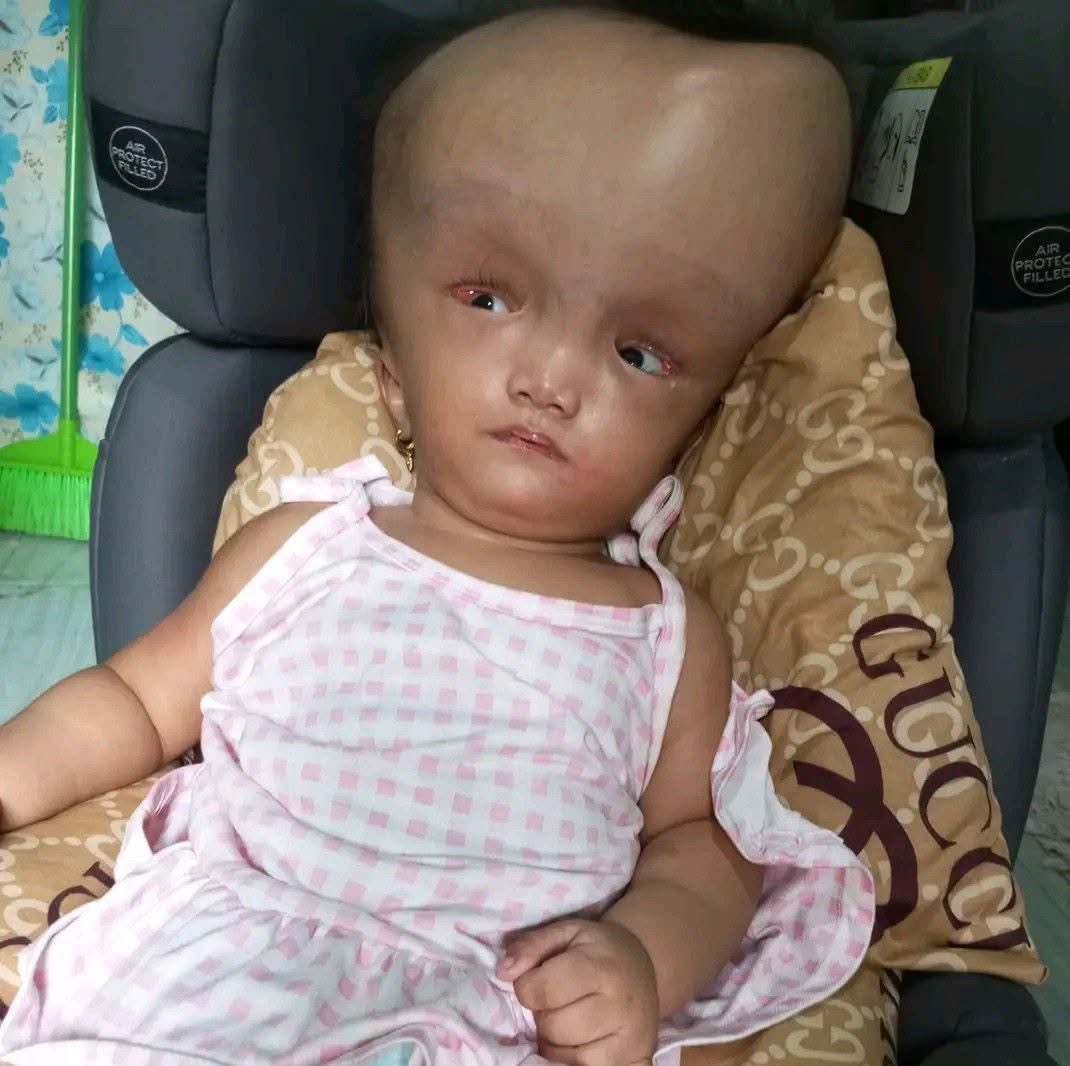Plushies For Hope | Volunteer Group tweet media