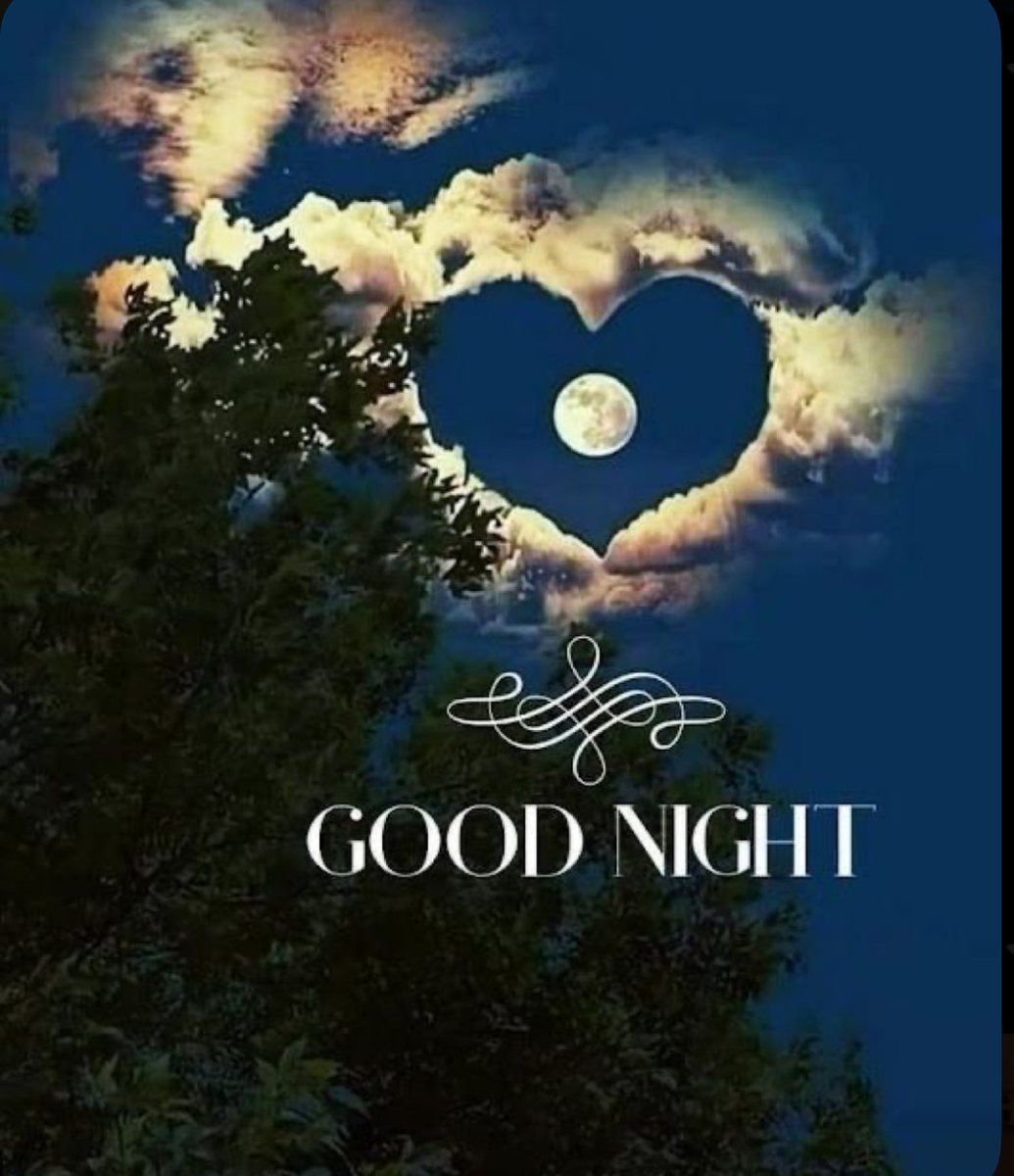 HowseLady's tweet image. Good night my friends. 💫 I hope everyone has a restful night with sweet dreams ✨😴 💜