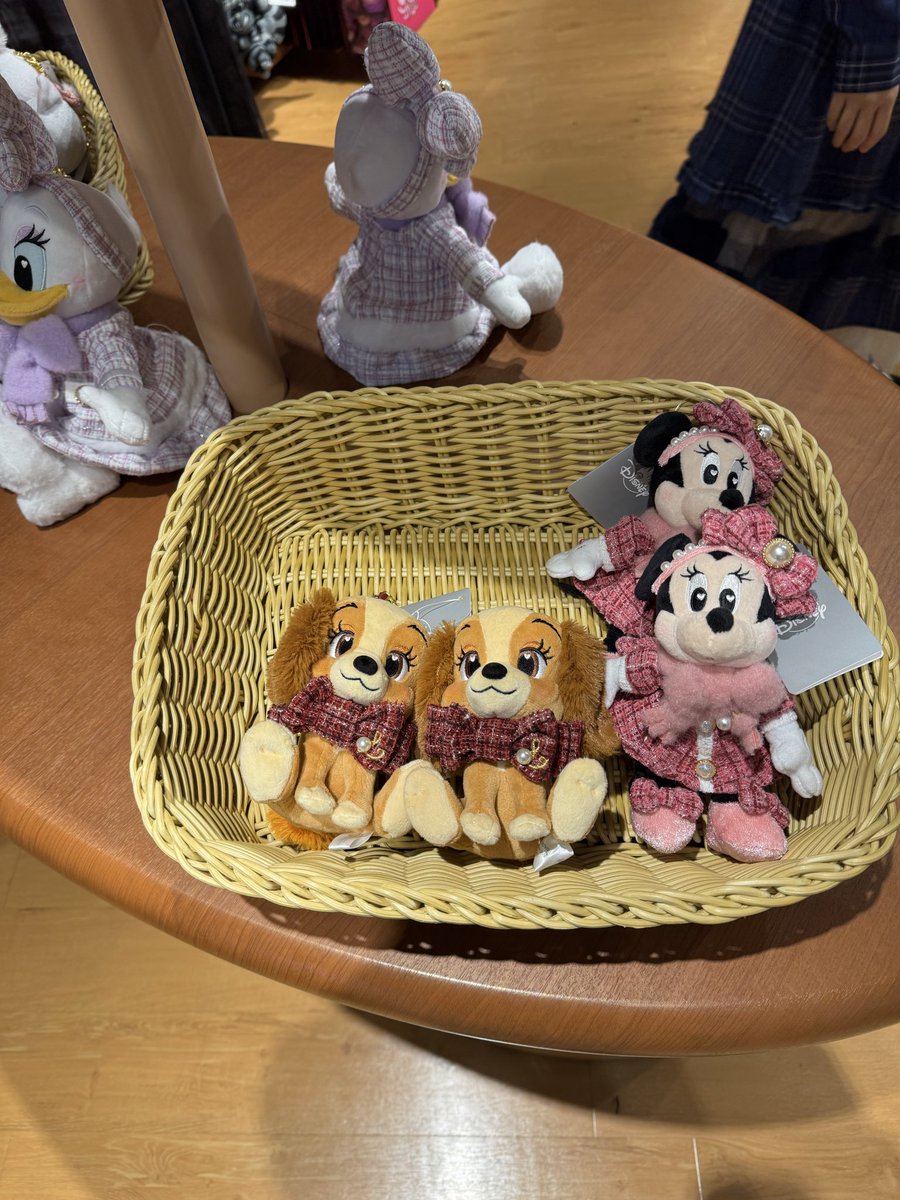 doko_mama's tweet photo. 間に合った〜！！！！

レディかわいいよ、好き好き！
結婚しよう💍💘🐕

毎日ステーキ食べようね！！！！ https://t.co/7XVIOE59Qc