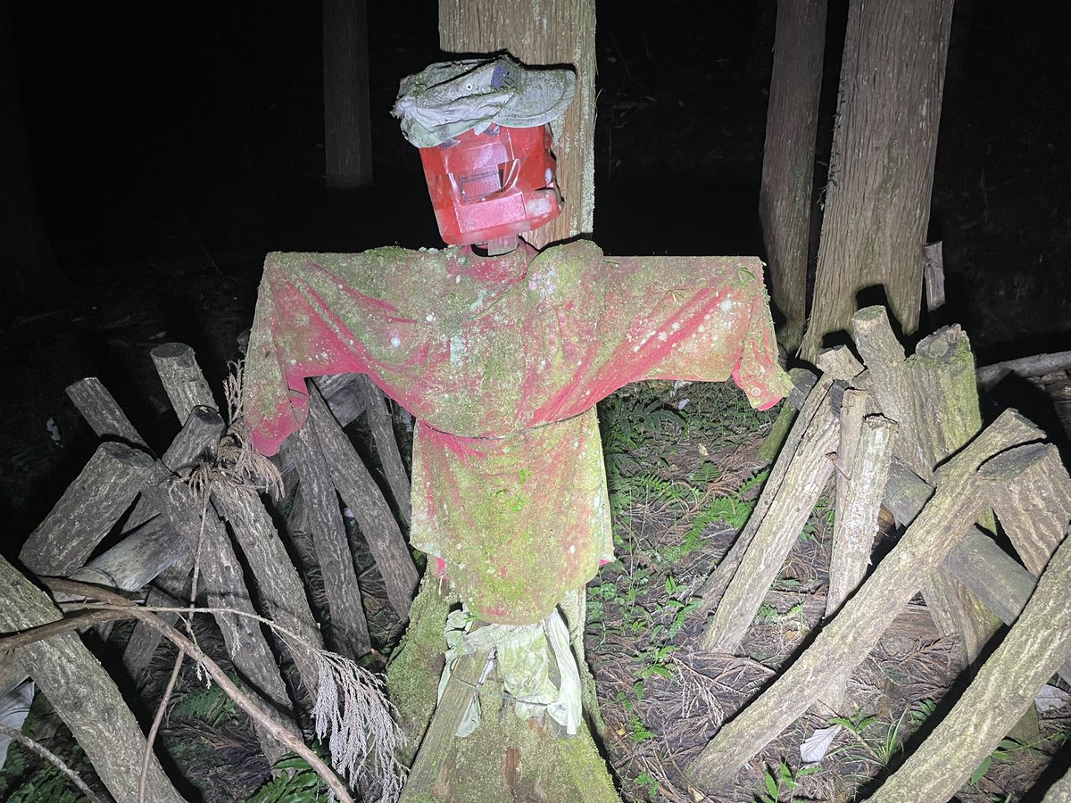 🟢えだまめ🟢 (@edamame07140) / Posts / X