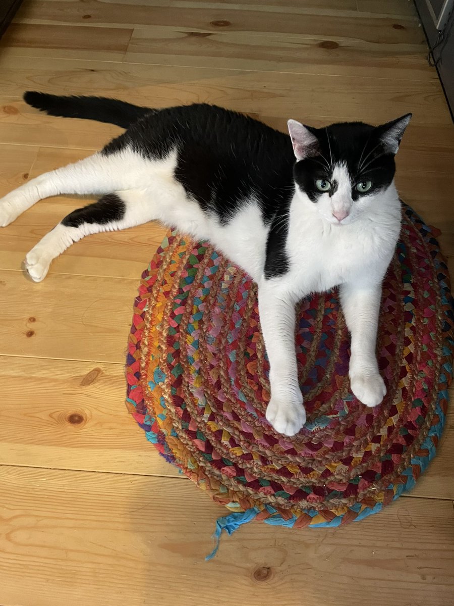 らいおん丸 (@lionmaru_046) / Posts / X