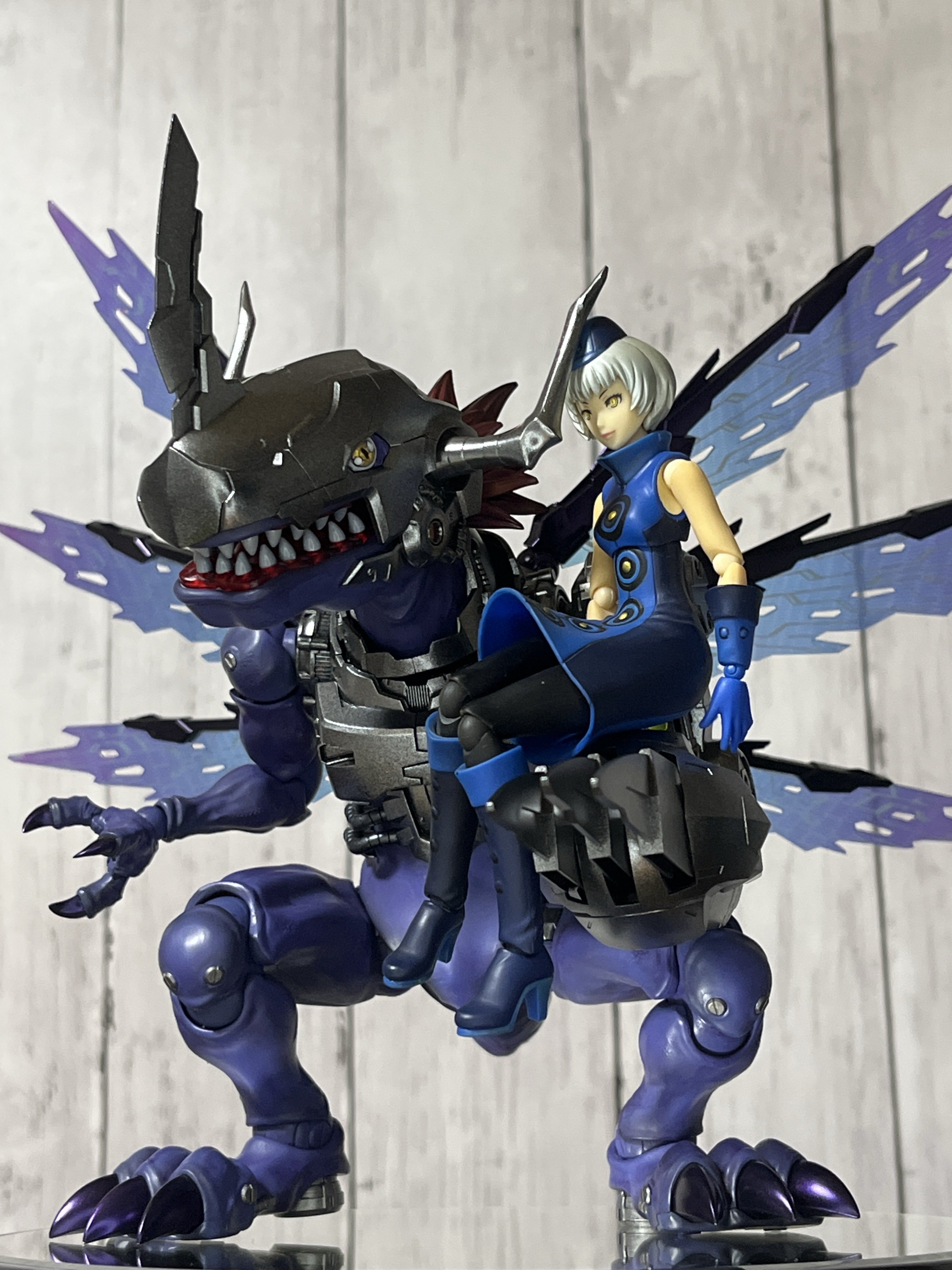 ザ・デジモン　まとめ売り 旧デジモンカード まとめ売り 40枚 青枠 プログラム