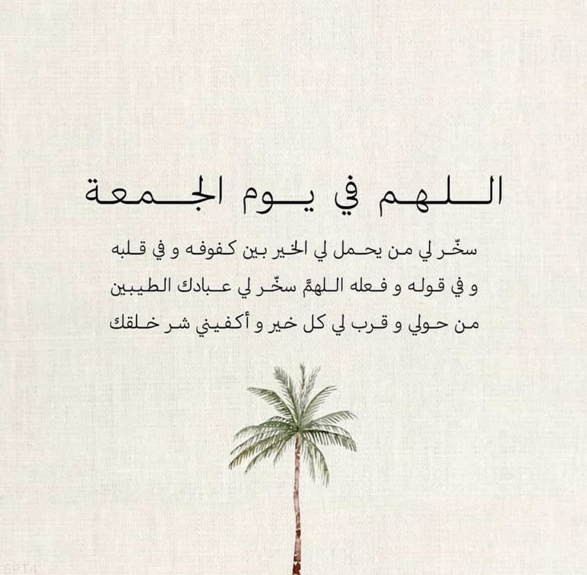 Layla⚖️ tweet media