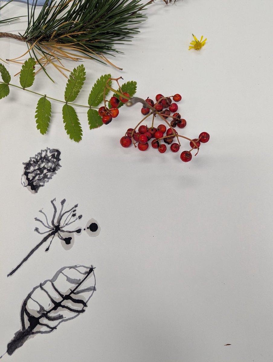 🎨✨ Kids from Glenasmole, Kilternan &amp; Glencullen NS have created stunning nature-inspired bunting for our Community Day at The GAP tomorrow! 🌿

Led by artist Liz, they made their own ink from oak galls &amp; berries 🫐Come along and see their finished work!