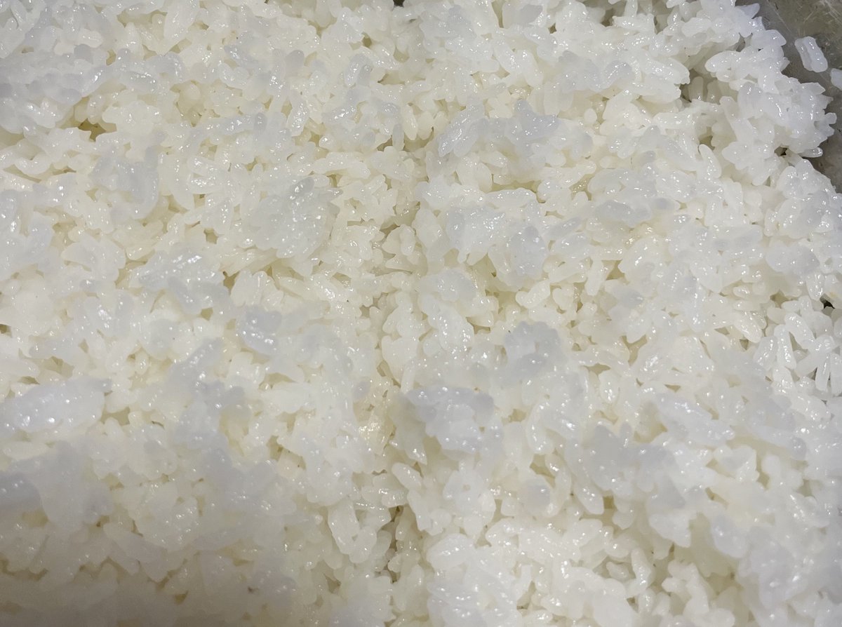 xekd3021's tweet image. 新旧の炊飯器で新米を同時に炊いてみたよ🍚

炊き立てはどちらも美味しいです！新米ﾀﾞｶﾗﾈ…若干、新しい方が風味がいいかな？
差が出るのは冷めたあと
お弁当に持って行ったご飯は旧型より確実に美味しかった〜😋

⬅️土鍋圧力IHジャー炊飯器・2024年製
　🌾マイコン炊飯ジャー・2012年製➡️