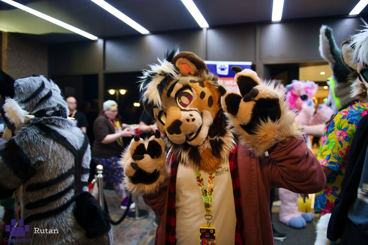 Happy #FursuitFriday !
Mocha being a silly kitty again 🧡
👔: <a href="/tomacats_suits/">🍅TOMACATS 🐱</a>