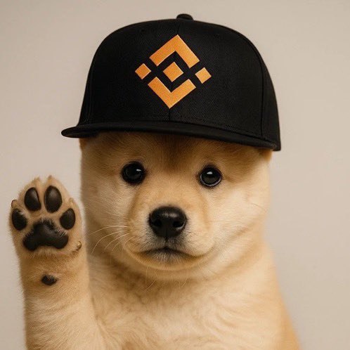 daddy99x_'s tweet photo. @pupXbnb Gm PUP admin https://t.co/rhK3LP8xiF