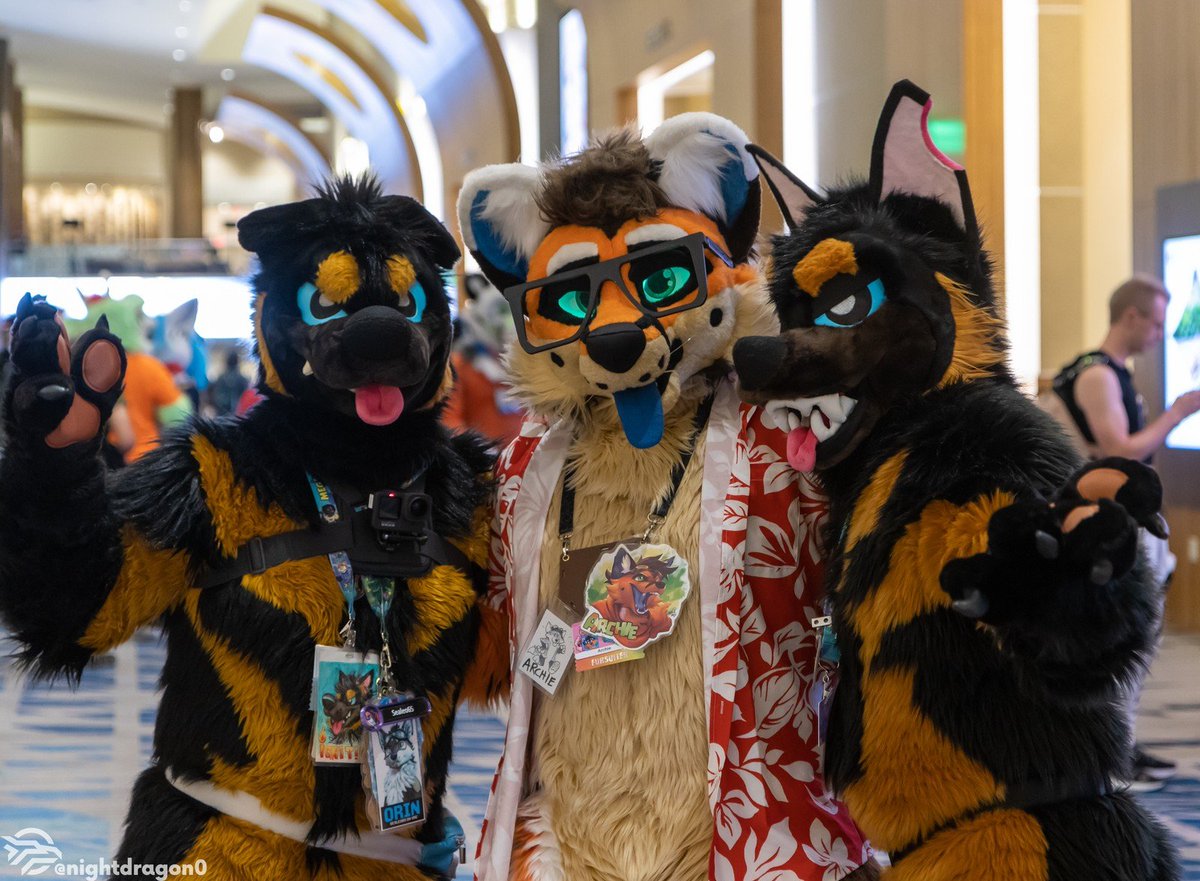 I'm seeing double 😵‍💫
Happy #FursuitFriday !!! 
<a href="/Sealeo65/">Seal @ AFC!</a> 
<a href="/nightdragon0/">Hyshaji Nightdragon</a> 
🪡: <a href="/TheKarelia/">TheKareliaFursuits 🔜 NFC</a>