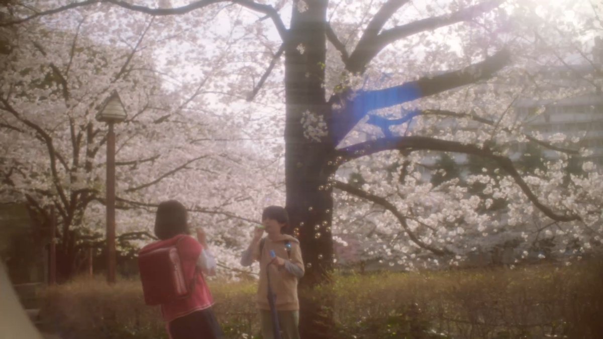 ♫熱帯スイレン　　スワンナ♫ Yahoo!オークション - 【熱帯 スイレン】スワンナ 塊茎苗（大