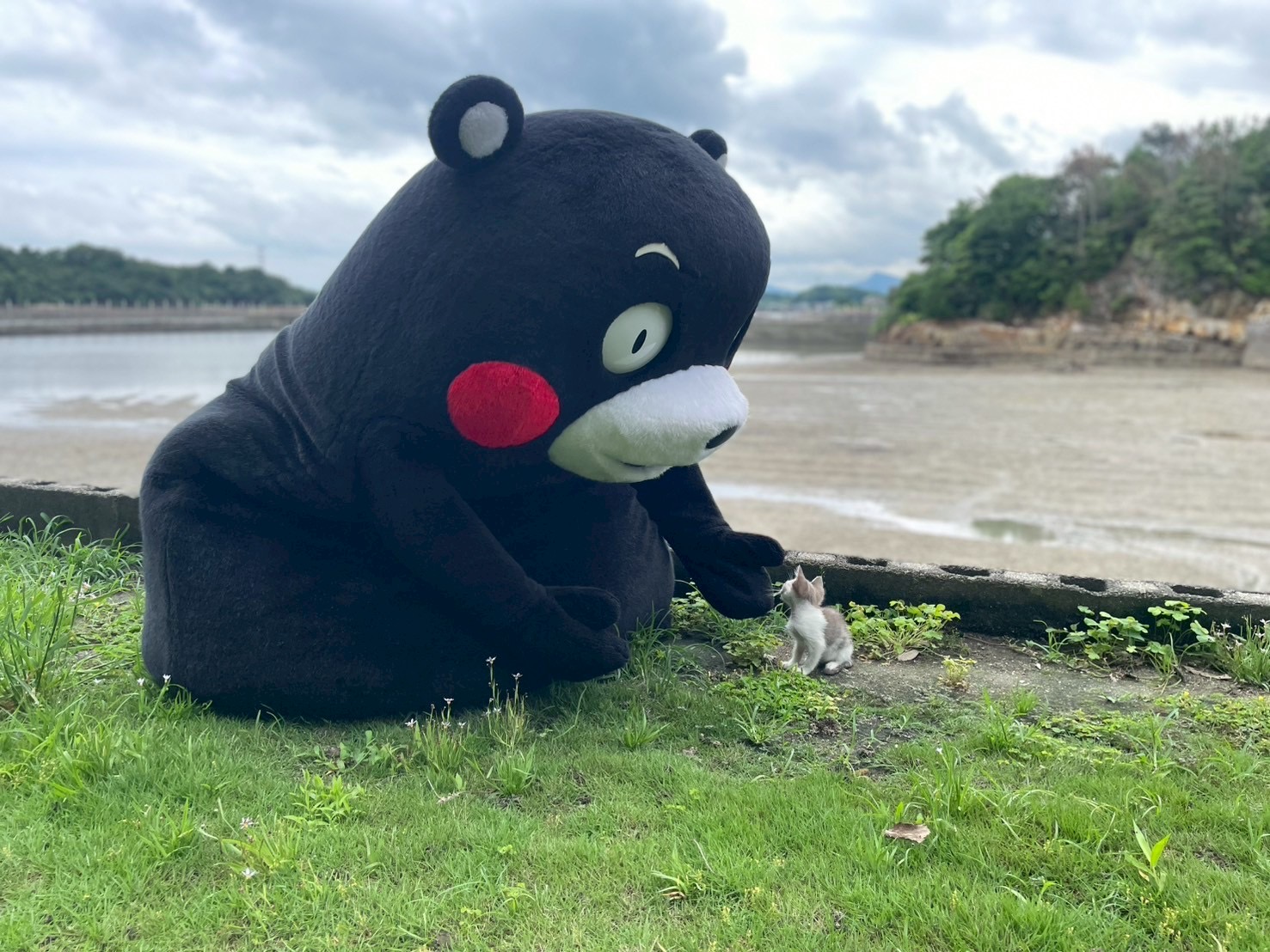 かおりんページ かおりんページ かおりん🌰 (@Kaori07070707) / X