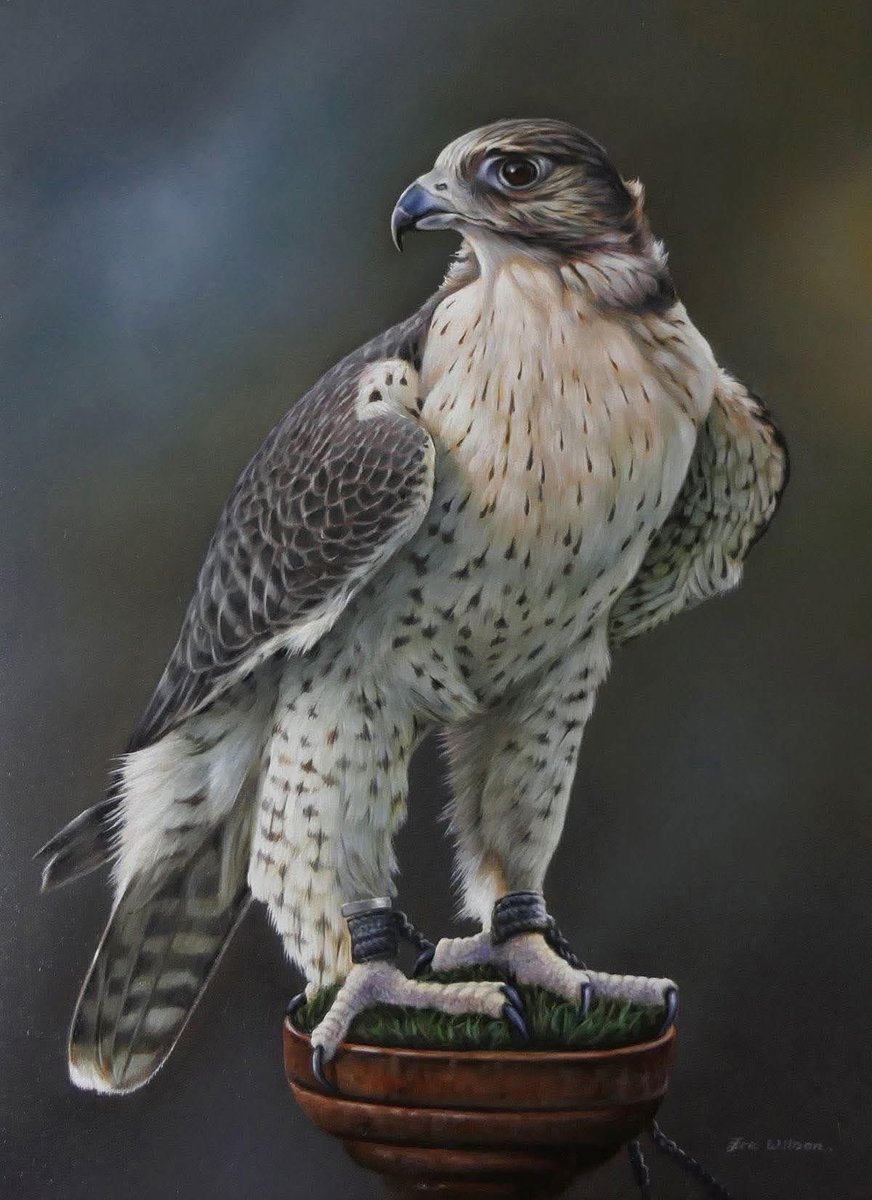 "عمر التواضع مادفن قيمة إنسان
 وعمر التكبر ما عطى إنسان قيمه.."