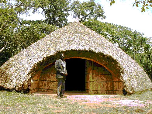 Tribe 56 tweet media