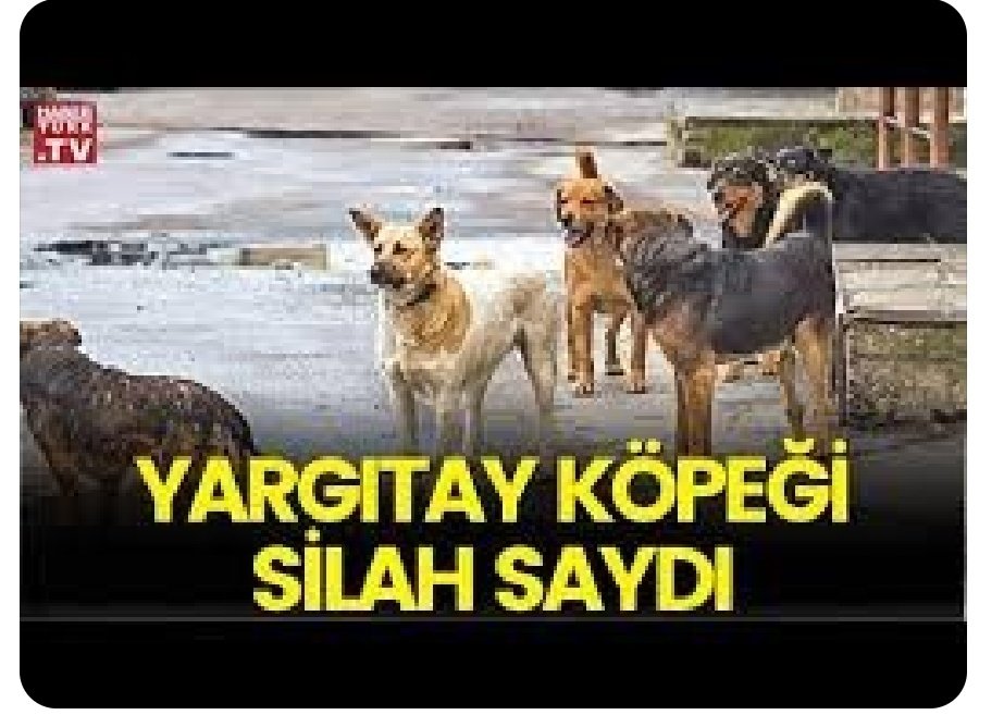 #AileYılı  Son 2.5 ay 
Aile yılında, 
Köpek başıboşluğu sebebiyle,
En az 30 ailenin daha ocağına ateş düştü.

En az 300.000 aile ferdine kuduz aşısı yapıldı, haftalarca kuduz endişesi yaşandı. 

Yaralanma ve ölüm vakaları soruşturuluyor.

<a href="/TC_icisleri/">T.C. İçişleri Bakanlığı</a> <a href="/AliYerlikaya/">Ali Yerlikaya</a> <a href="/tcbestepe/">T.C. Cumhurbaşkanlığı</a>