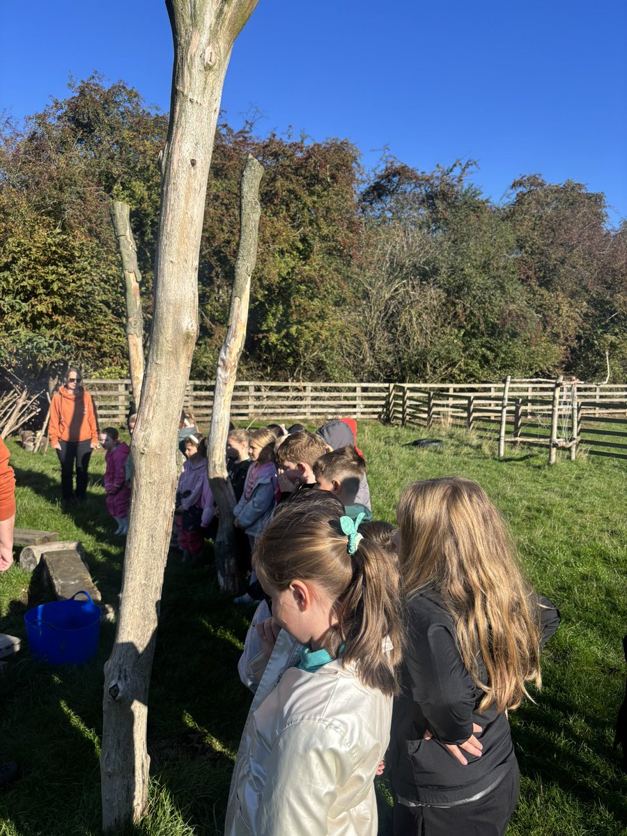 EastfieldPSHull's tweet image. 2HA have arrived at Acorn Hollow Forest School! 🌳 We are so excited for the day ahead! 🤩#eps2HA #epsgeography #epsscience