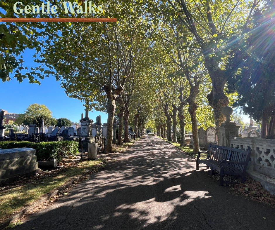 Discover &amp; Unwind 🌿
Take a gentle stroll through history
Join our volunteer guides for a relaxed 50-min walk at Willesden Jewish Cemetery — full of stories, calm paths &amp; peaceful gardens.
☕ Hot drinks | ♿ Accessible | 🚗 Free parking