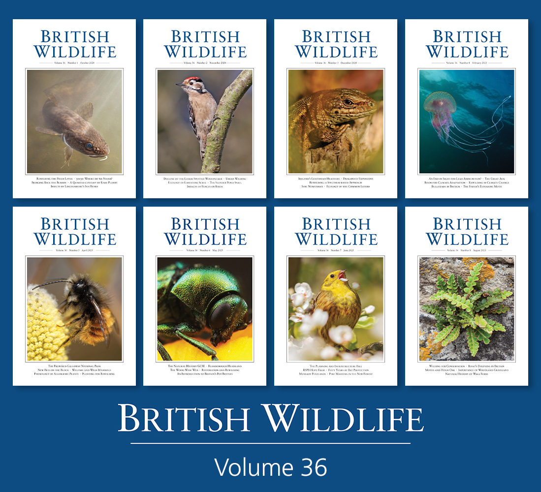British Wildlife Mag tweet media