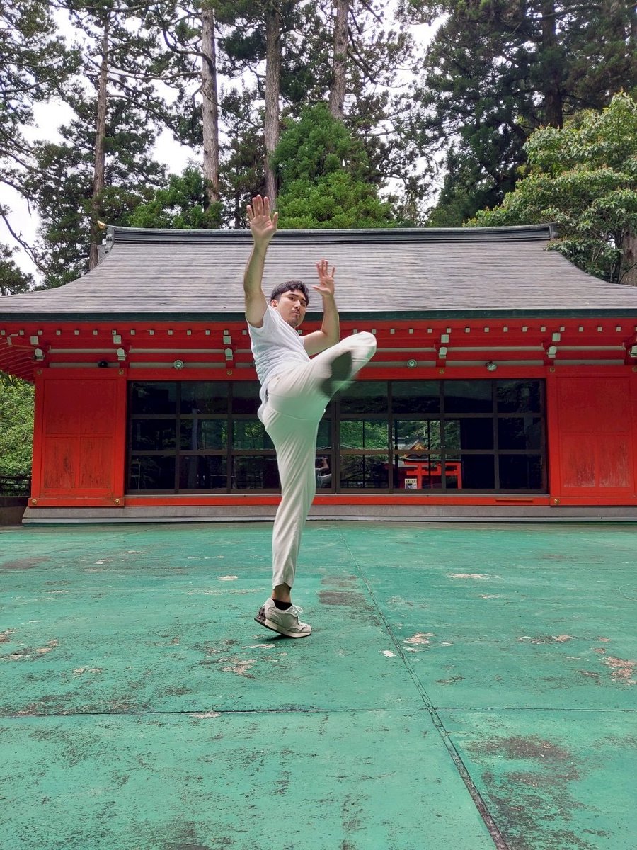 主流の学説では、中国武術には元々ムエタイ式回し蹴り(roundhouse kick/鞭腿)というものがなかった。確かに大きく蹴ると、足がキャッチされたり中心線が攻められたりするリスクが高くなるが、体重移動で最大限にインパクトが出せるはず。
#武術