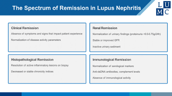 LupusAcademy's tweet photo. Prof. Onno Teng outlines the spectrum of remission in lupus nephritis - spanning clinical, renal, histopathological, and immunological domains.
True remission means more than lab values - it reflects healing at every level.
#LupusNephritis #SLE #RenalDisease #LupusAcademy2025 https://t.co/q1E1XBBFTA