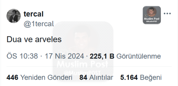 Muslim Post (@muslimp0st) on Twitter photo 