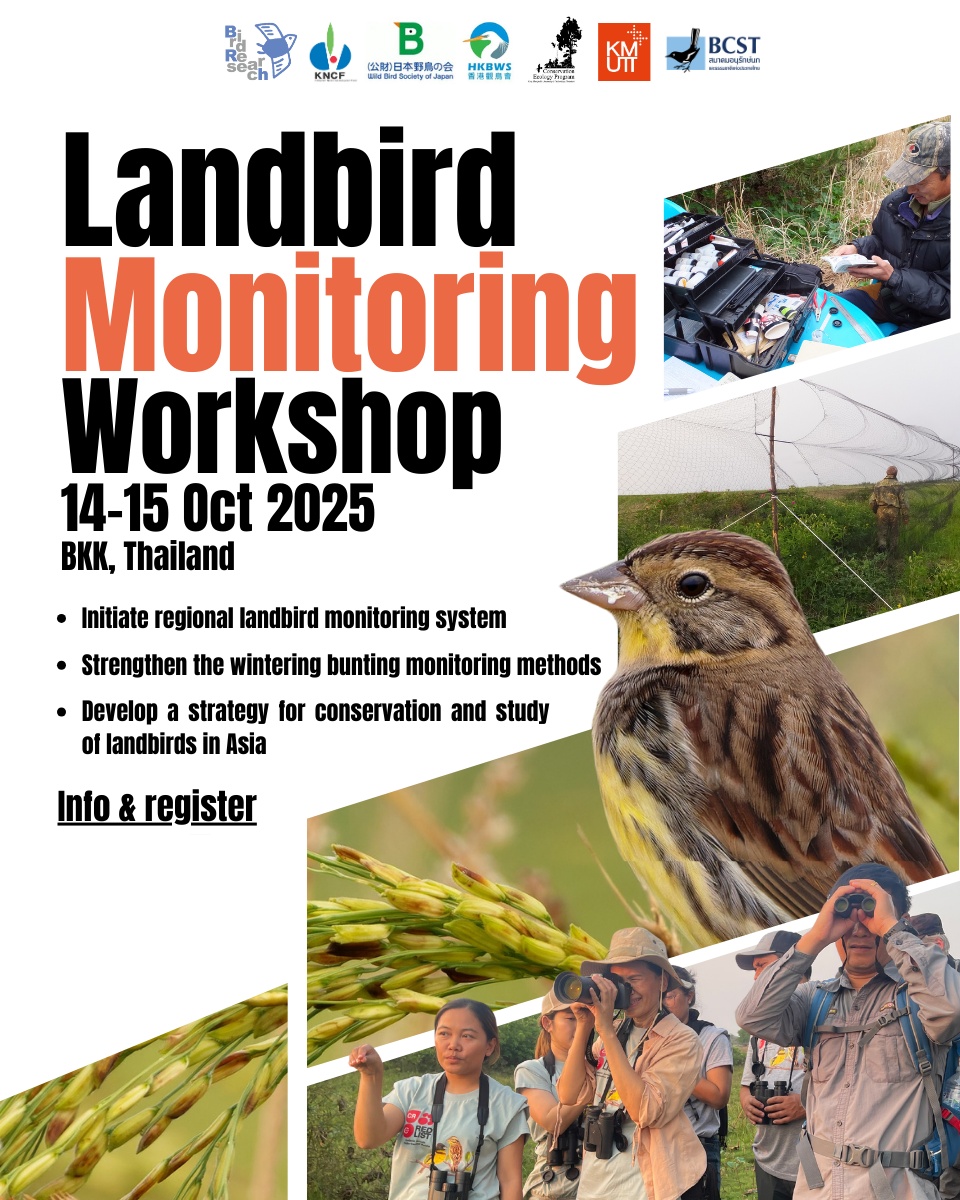 絶滅危惧種シマアオジの越冬ねぐら調査のためのクラウドファンディング、目標の30％、135万円を超えました！感謝です。 readyfor.jp/projects/aureo…

クラファンとは別に経団連からの助成を受けている活動ですが、10月14-15日にタイでシマアオジや草原性渡り鳥のワークショップを開いてきます！国際連携👍