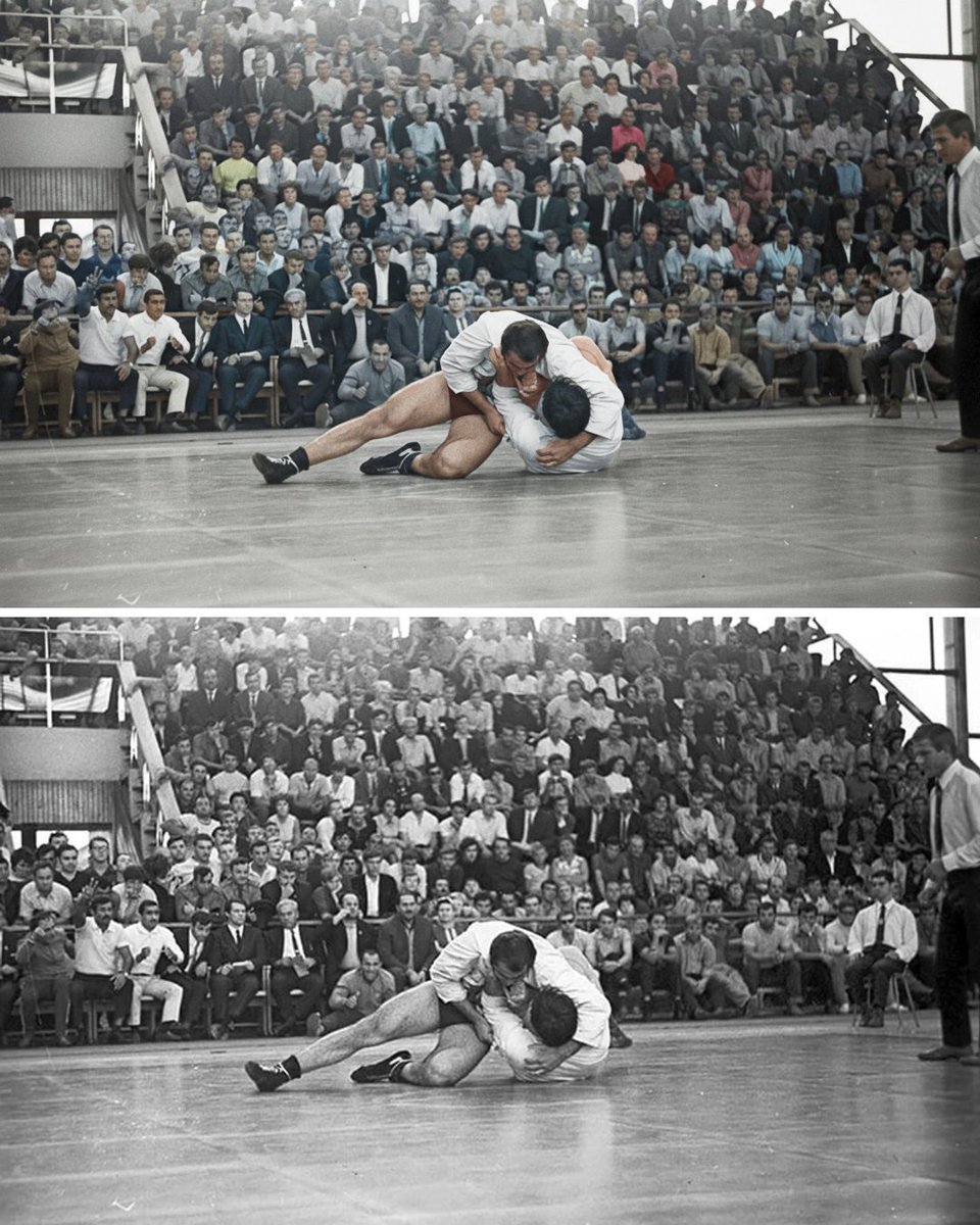 SAMBO FIAS tweet media