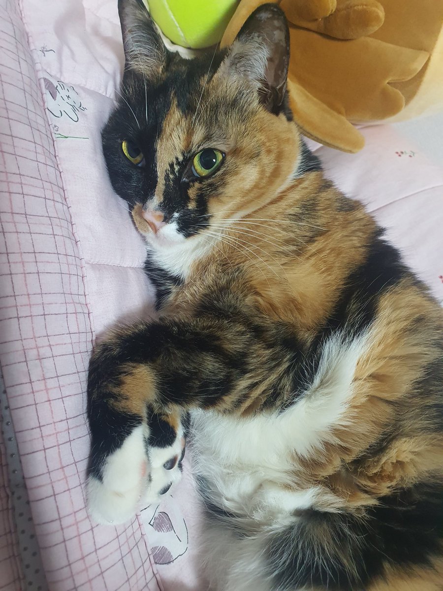 너 왜 눈을 그르케 뜨냐