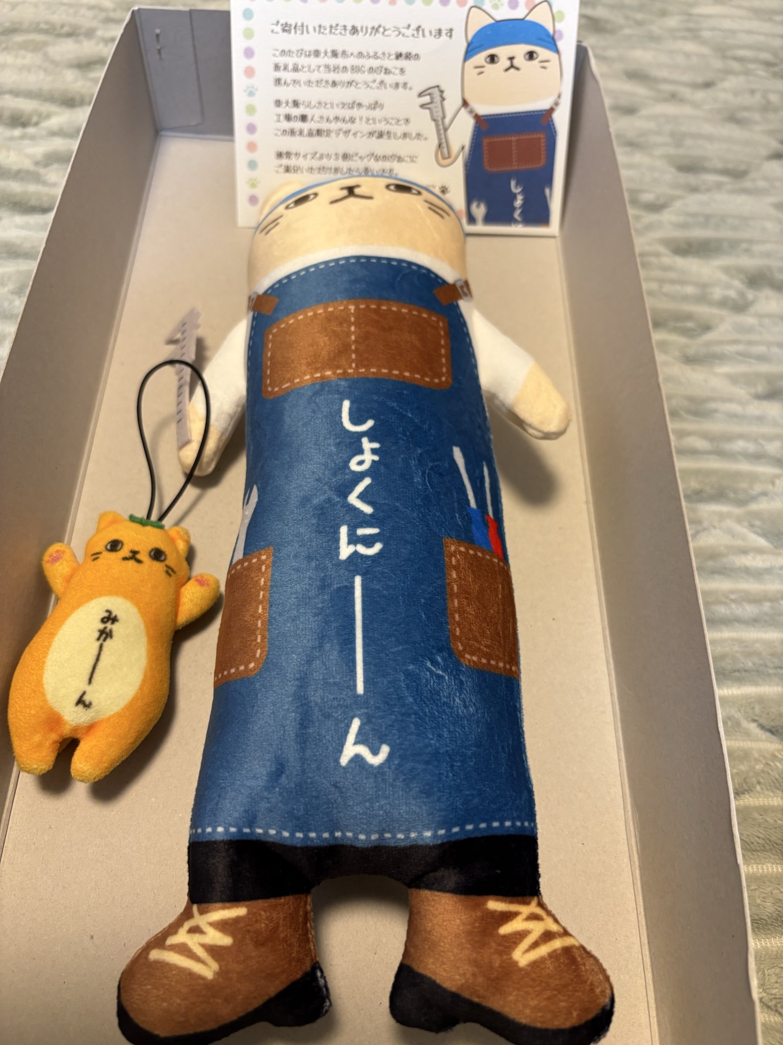 のびねこ 111匹 のびねこ 111匹
