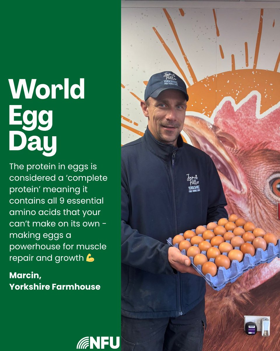 Happy #WorldEggDay 🥚 Marcin from Yorkshire Farmhouse Eggs highlights some of the many nutritional benefits of eggs ⬇️ they're egg-cellent fuel for growth, development, strength and repair 💪