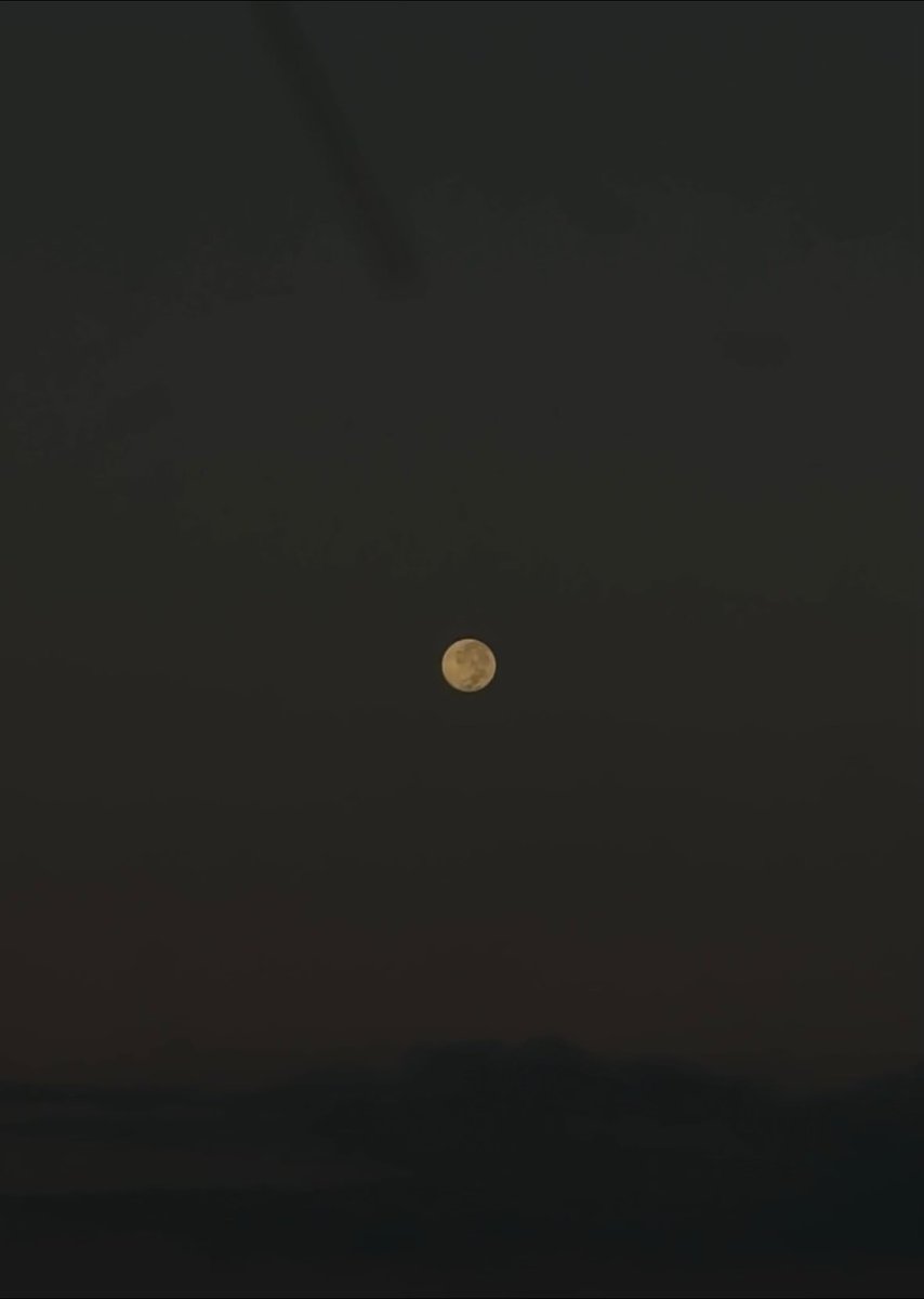 𝘴𝘶𝘯 (@s___un___) on Twitter photo 