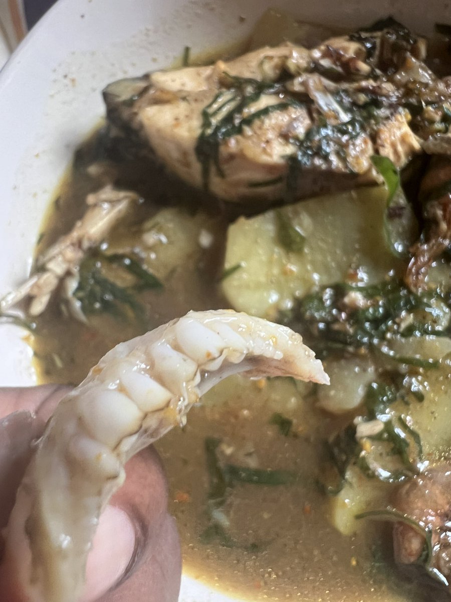 Peace Ighodaro💛 tweet media