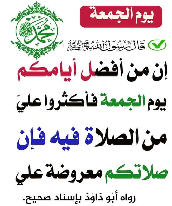 ساره (@sarasaman8) on Twitter photo 