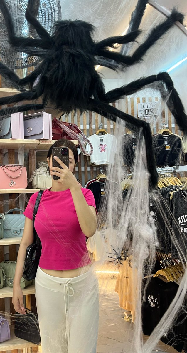 csp.babyp. tweet media