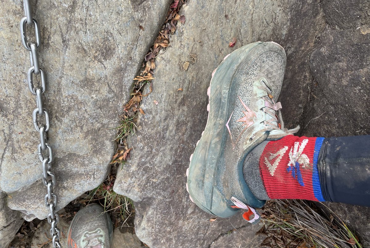 SHOKICHI PKCZ chamaerZ クッション 出回り1つ SHOKICHI PKCZ chamaerZ