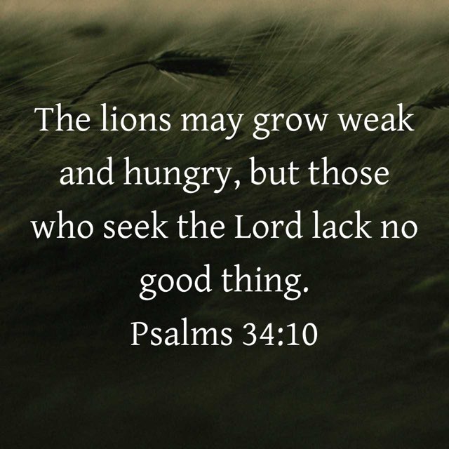 “The lions may grow weak and hungry, but those who seek the Lord lack no good thing.”
Psalms 34:10 NIV