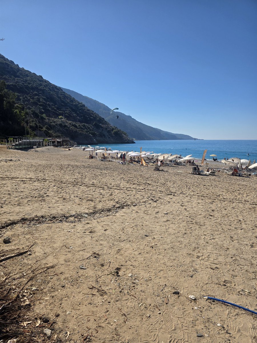 Claire Pitch 🏥💉🅾️➕️ tweet media