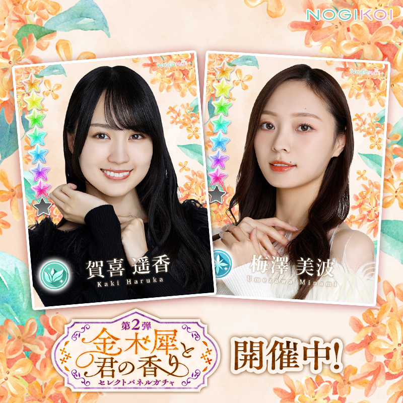乃木坂46　乃木恋　43期彼氏特典　賀喜遥香 乃木坂46 乃木恋 43期彼氏特典 賀喜遥香
