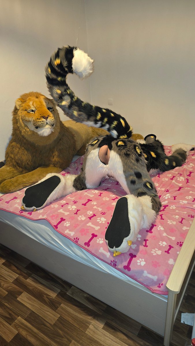 Its #MurrsuitFriday time to grab a snep, lock him in his suit, throw him onto your bed and breed him wild untill Monday morning even share him with your besties.
Make sure he leaks the whole next week.
❤️❤️❤️ Have fun with your naughty dreams now ❤️❤️❤️
#FursuitFriday #fursuiter