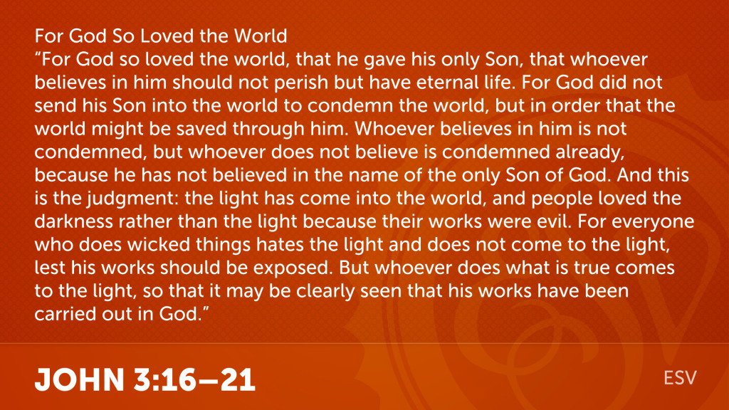 DavidLimbaugh's tweet image. 