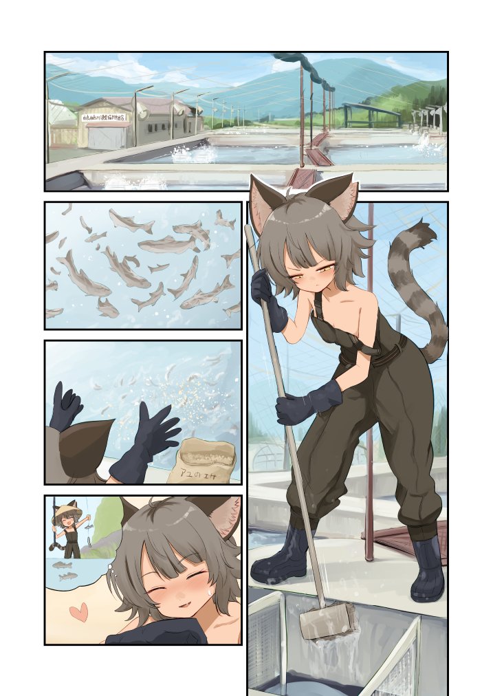 Poisoner_Batta's tweet image. 漁協組合の猫がカワウを許せなくなった理由