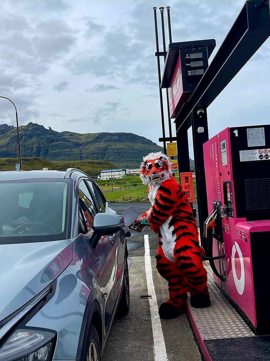 Put a tiger in your tank ⛽️🐯⁉️

#FursuitFriday
#fursuit #Iceland