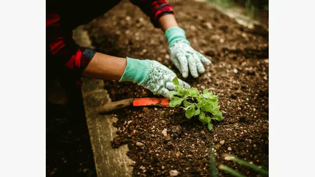 This image says it all 🌿
It starts with you. Make a difference.

View the post 👉 app.ecox.network/community/post…
Earn GREEN on @ECOX_ECOToEarn while you act:
app.ecox.network/register?refCo…

#ECOX #GREEN #ECO_TO_EARN