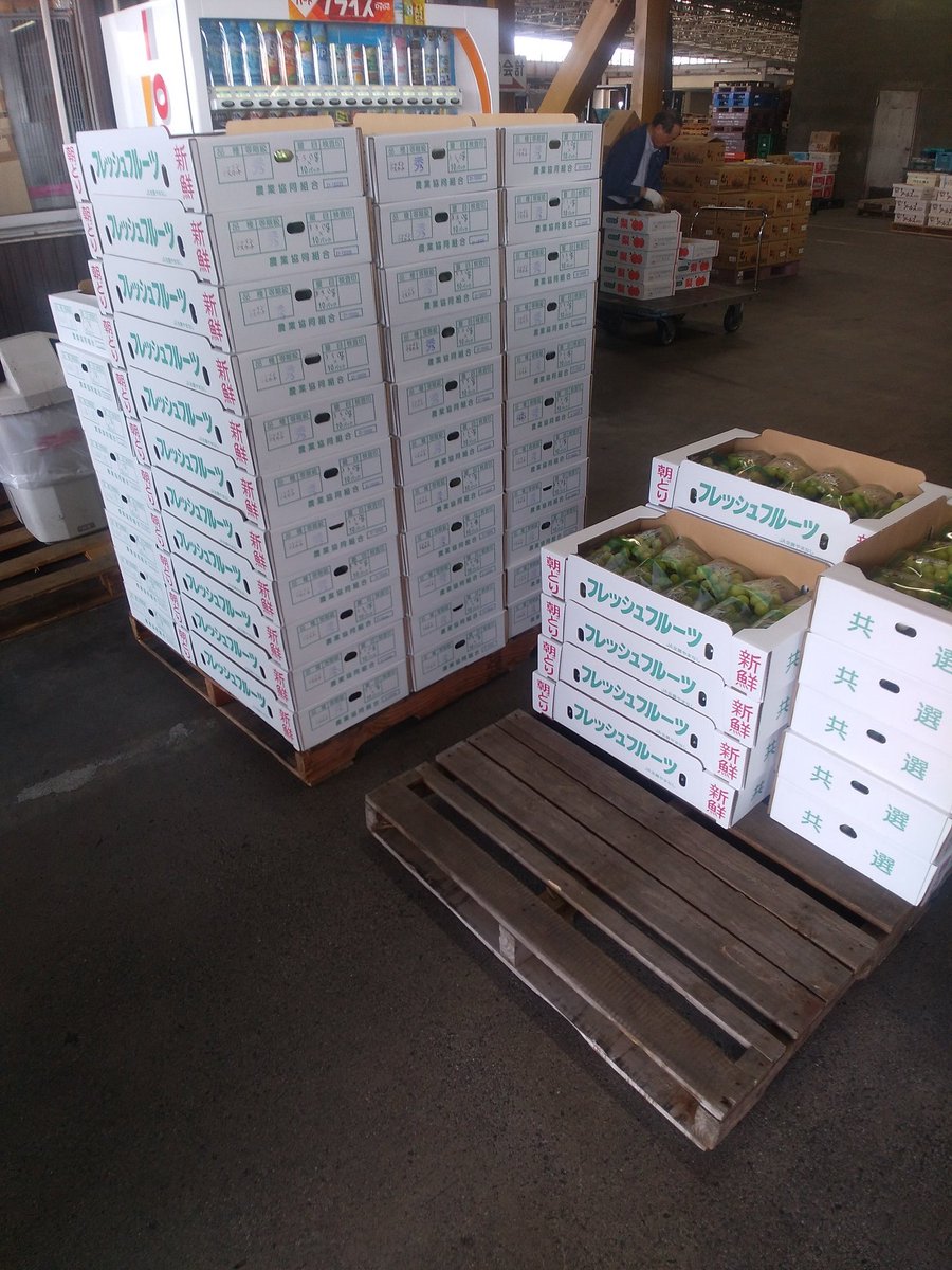 ありがとうございました🙇🍇最後の出荷💦 どこかのトラブルさんで