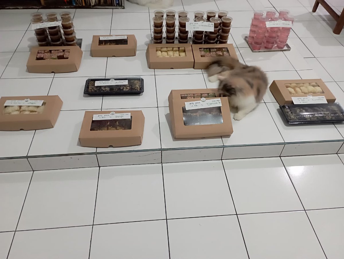 DapurMocca (ORDER BY WHATSAPP) tweet media