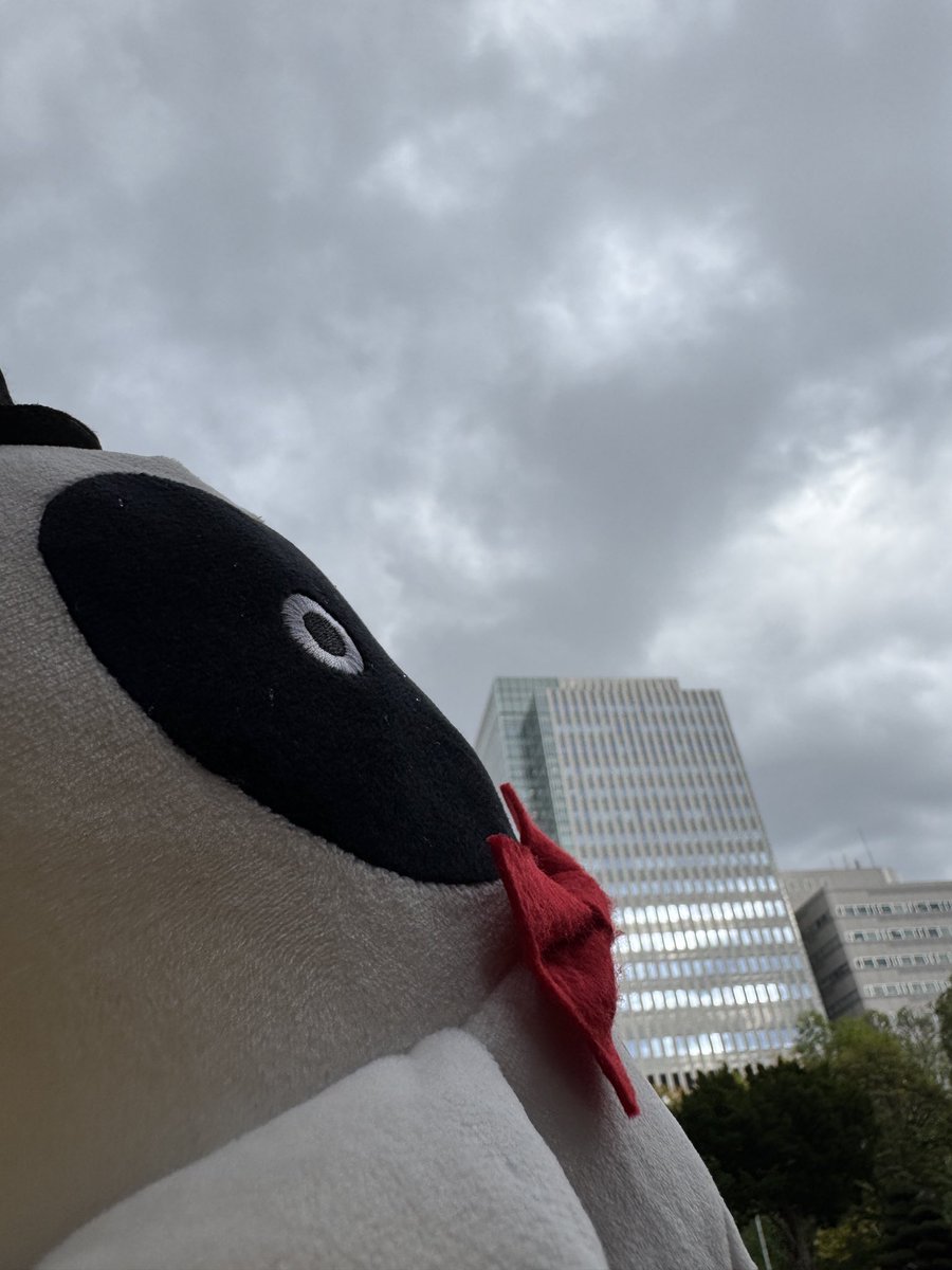 キューちゃん (@CUEchanOFFICIAL) / Posts / X