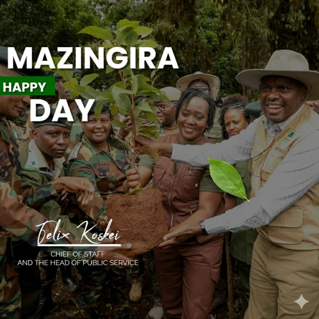 Tuhifadhi mazingira yetu!tupande miti!