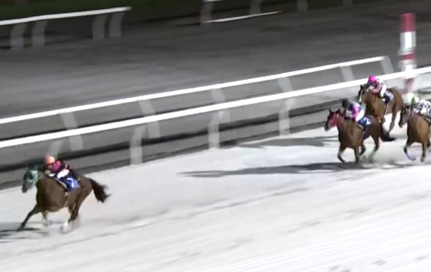 10月9日、当社育成馬ペプチドシュチク(牡4、門別・川島雅人厩舎、沼川瀧子様所有)が、門別8R、夢をのせて浦河産馬特別（3歳以上、A4-2～B2クラス、ダート1400m）で、道営転入初戦を勝利しました！

沼川様、川島厩舎の皆様、優勝おめでとうございました！
kimurabokujo.com/%e6%9c%a8%e6%9…