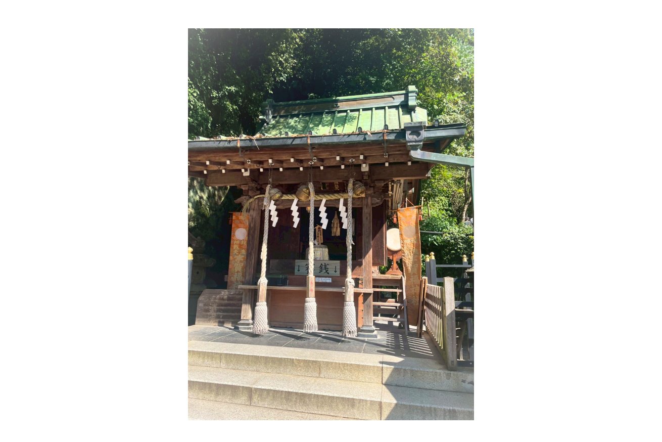 7/31まで❗️夏の感謝SALE❗️限定価格 【市杵島比売命からの御神託】弁財天✨ 🇮🇳❤️ 友達からサリー🥻を貰いましたぁ🥰✨ うれしい！！早速