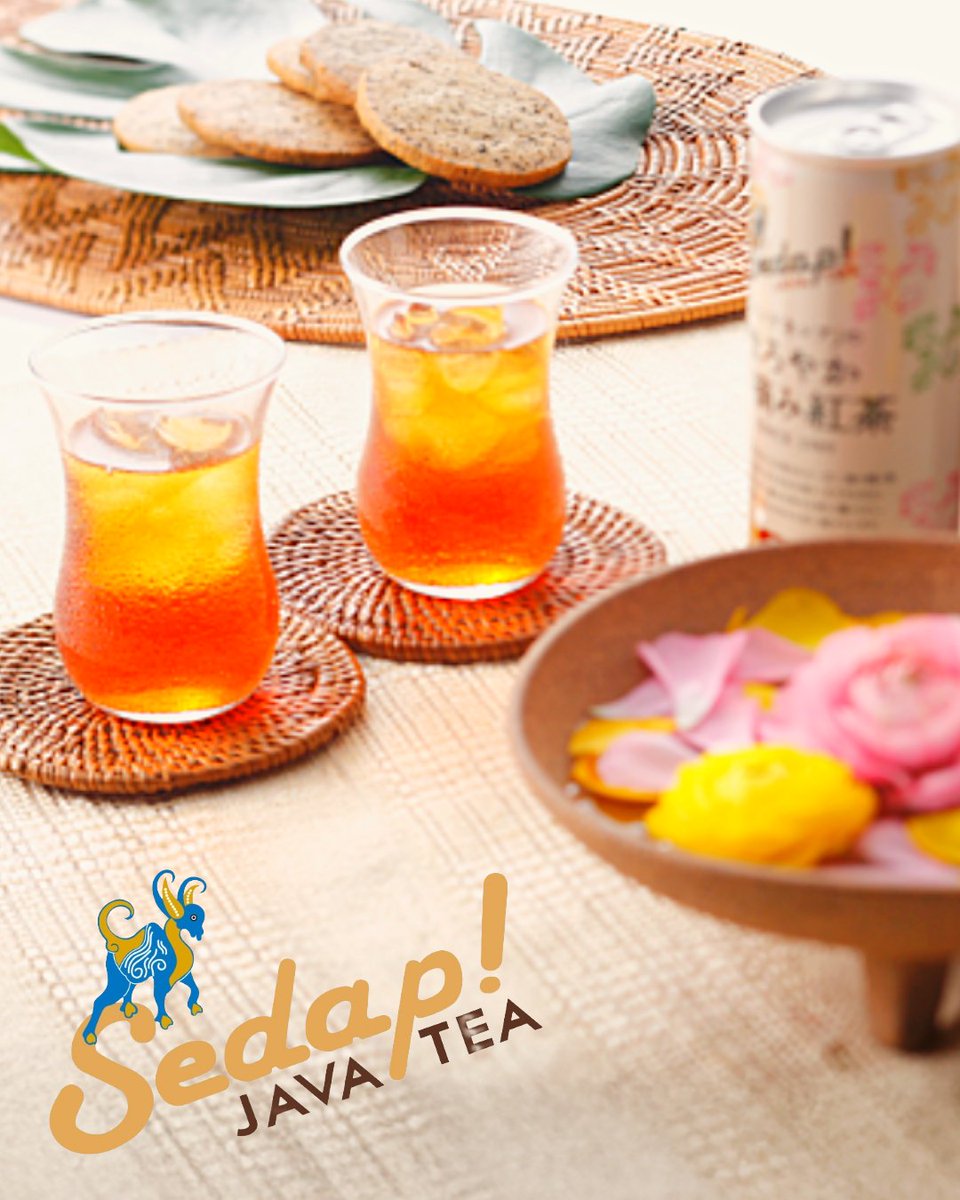 ウィルコウシドウ🖥️たんきゅう広場👧10月25日は秋祭り👦 tweet media