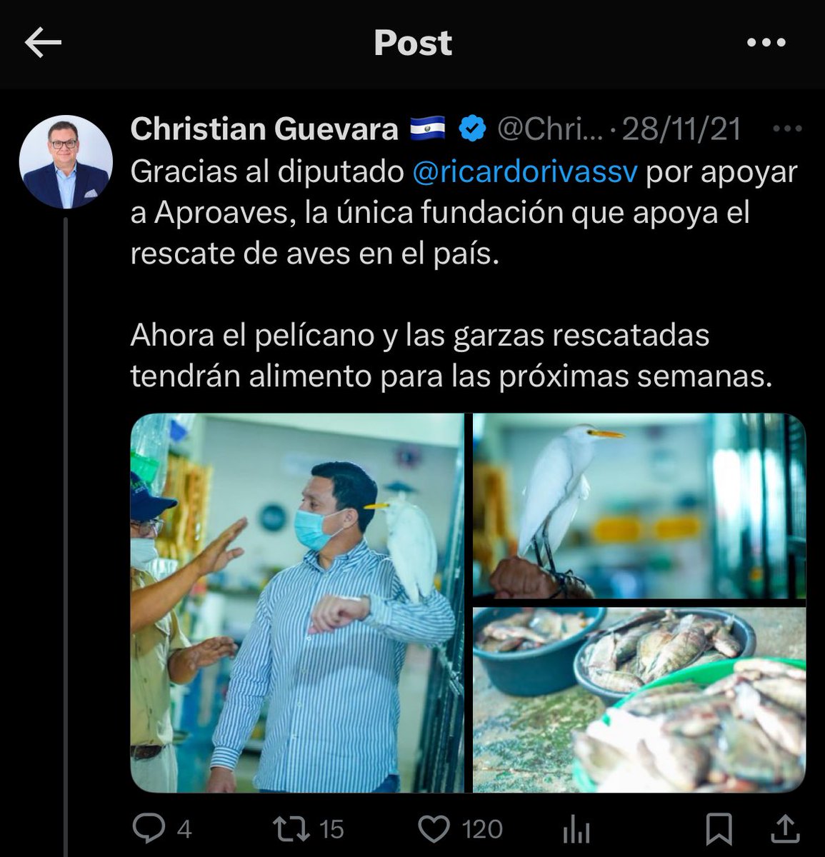 Ingrid Ortega tweet media
