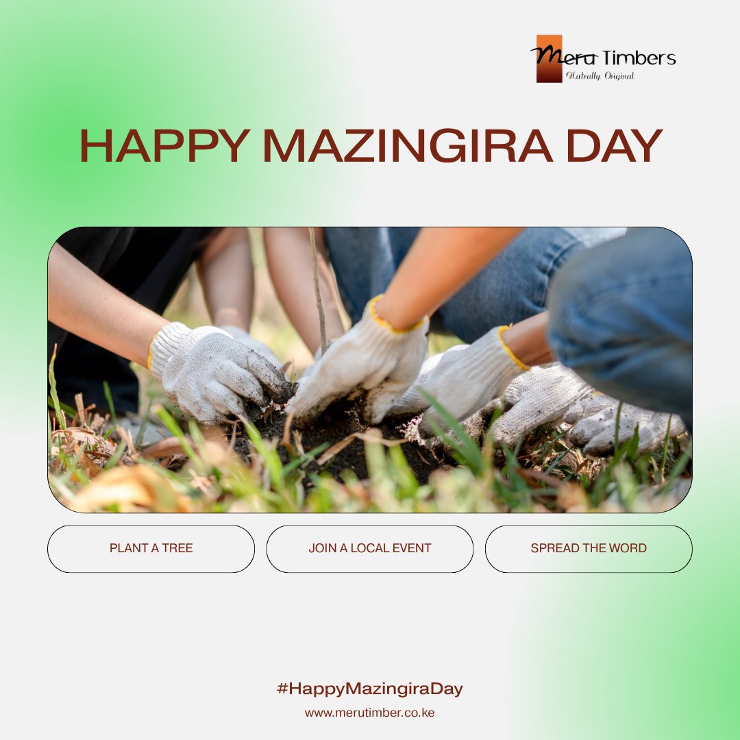 Meru Timber tweet media